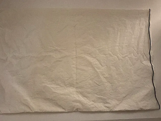 CRATE AND BARREL white cotton navy blue embroidered tip standard Pillow Case
