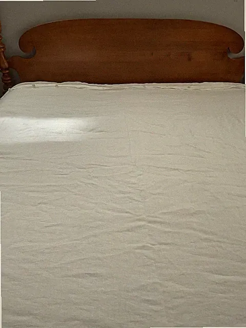 NWOT Crate & Barrel European Flax Linen Duvet Pampas Ivory King